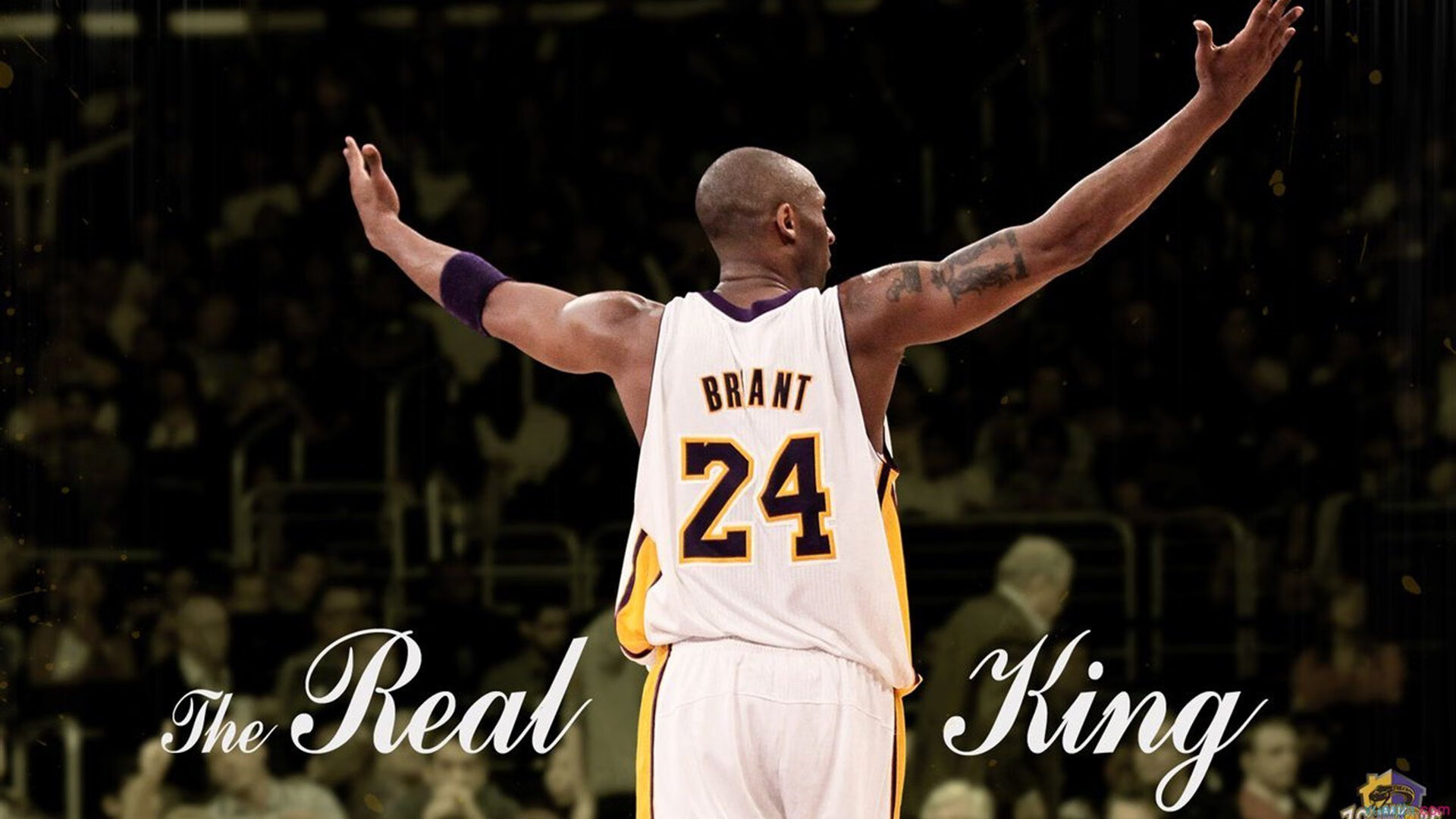 “高新区全民健身馆壁球赛:谁能把速度与精准玩得淋漓尽致?”