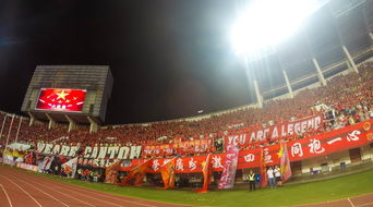 九游娱乐下载-场馆设施翻新完成比赛场地改造计划推进，场馆设计方案